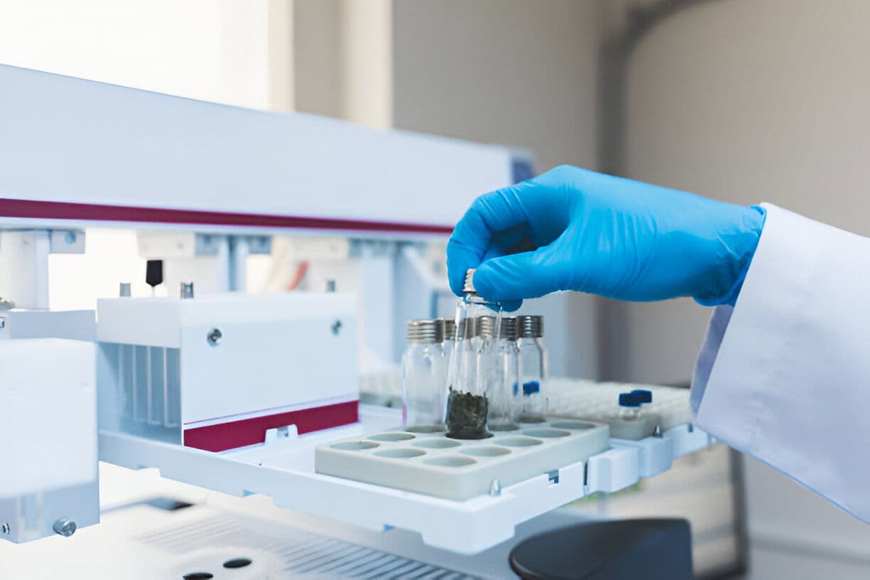 lab
